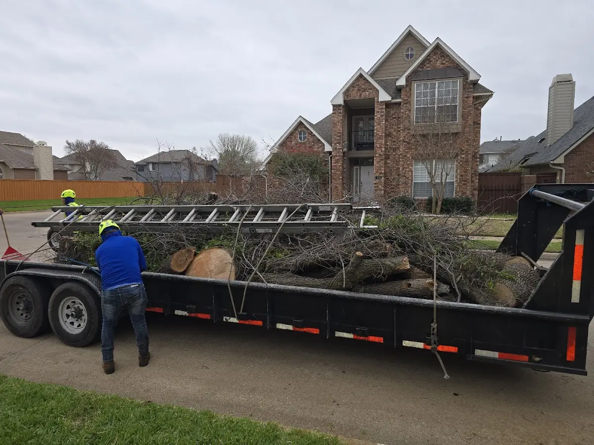 Expert Lot Clearing with proper safety equipment in Eldon